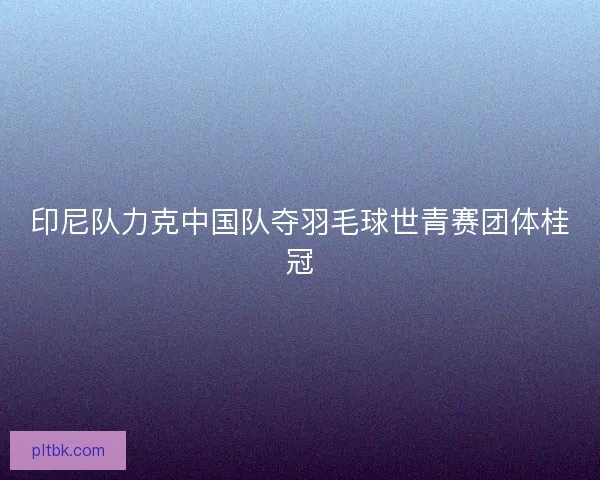 印尼队力克中国队夺羽毛球世青赛团体桂冠